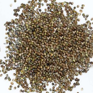 Pahari Bhang Hemp Seeds (250gm) ORGANIC