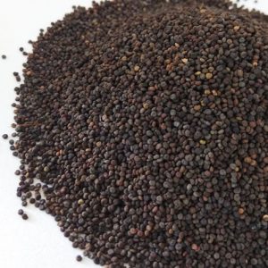 Pahari Black Jakhiya Seeds