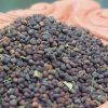 Pahari Black Jakhiya Seeds