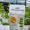 Pahari Turmeric Haldi Powder