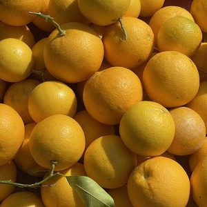 pahadi malta fruit online uttarakhand