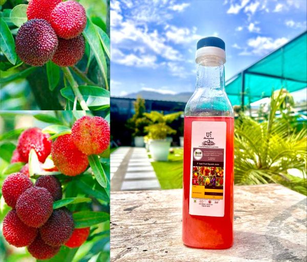 kafal juice online