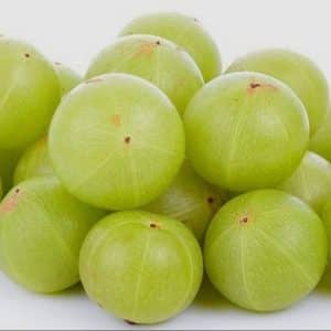 pahadi amla