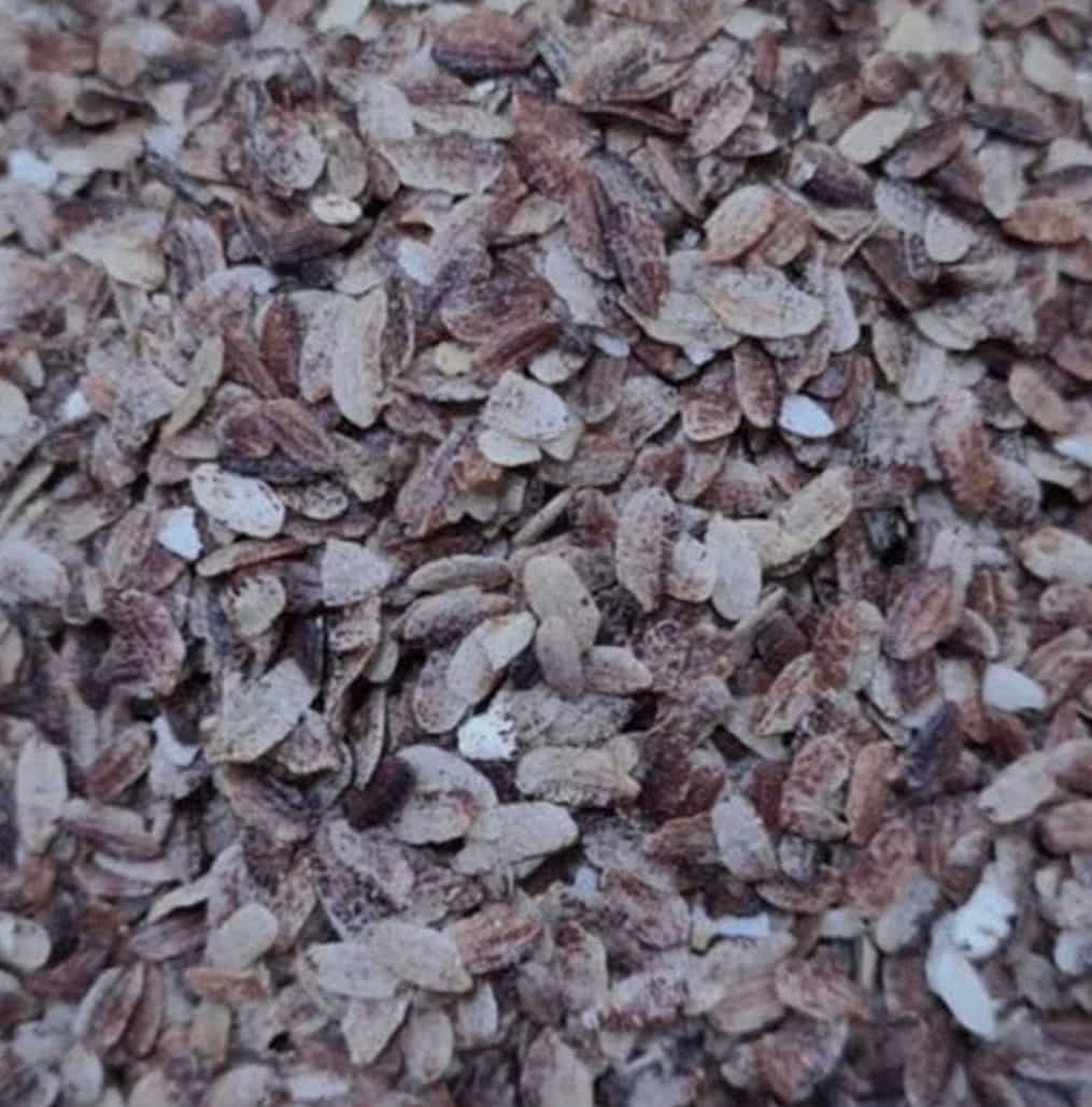 pahadi chyuda pahadi chyuda