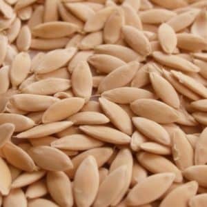 pahadi kakdi seeds