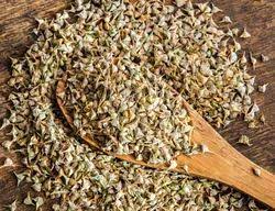 pahadi palak seeds pahadi palak seeds